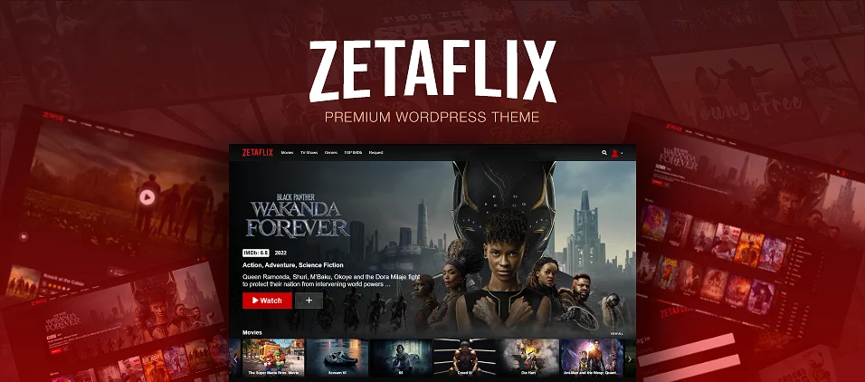 ZetaFlix WordPress Theme